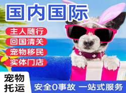 岳阳三荷航空托运国际宠物托运 【国